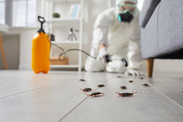 Commercial Kitchen Cockroach Control in Selmont-West Selmont
